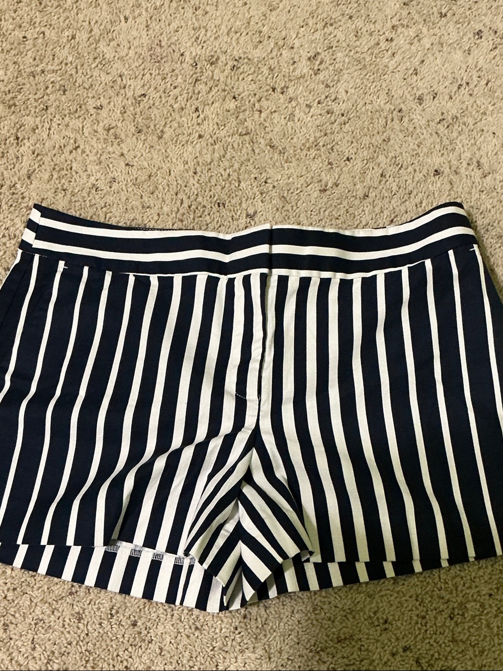 LOFT Navy and White Vertical Stripe Athletic Shorts